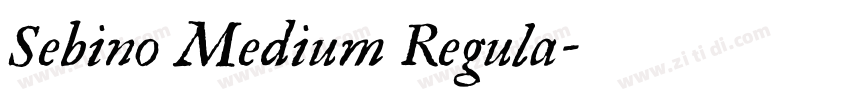 Sebino Medium Regula字体转换